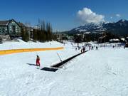 Transportband Mini Moose