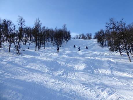 Skigebieden voor gevorderden en off-piste skiërs Härjedalen – Gevorderden, off-piste skiërs Tänndalen