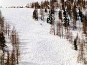 Bosdoorgang bij de gondelbaan Pelevos