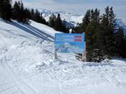 Informatie over de skisafari