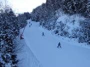 Gemakkelijke bosafdaling