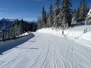 Sprookjesafdaling op de Rittisberg