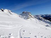 Verse sporen in de sneeuw