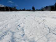 Freeride helling tussen Kapellenlift en Scheuermattlift