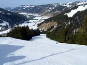 Kreuzleafdaling vanaf de Riedberger Horn