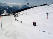 Trainer - Sleeplift met T-beugel/Ankerlift