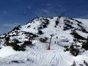 Steinkogel - Sleeplift met T-beugel/Ankerlift