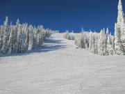 Uitzicht op de moeilijke afdaling Bluff