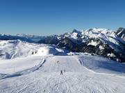 Muri standaardafdaling