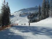 Familieroute met uitzicht op de Arber-top