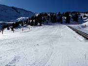 Beginnerspiste in het Ampriu Park