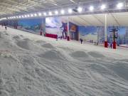 Buckelpiste in de skihal The Snow Centre