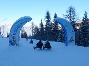 Tip voor de kleintjes  - Rodelbaan op de Galsterberg