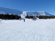 Gemakkelijke piste nr. 17