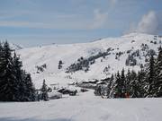 Piste Sapins in Les Saisies