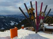 Tip voor de kleintjes 