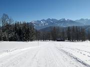 Makkelijke piste van de Zauberlift naar de Bergkristalllift