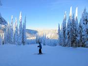 Afdaling Mid Life Crisis op Mt. Morrrisey