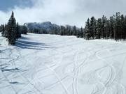 Gemakkelijke afdaling Tumbleweed bij de Huckleberry Chair