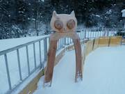 Kindertoegang van de Mini Club