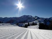 Eersteklas pistepreparatie