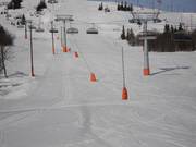 Lansbesneeuwing op de hoofdafdaling