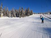 Zeer eenvoudige oefenpiste bij de Village Platter