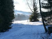 Langlaufen bij het dalstation