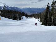 Piste bij de sleeplift Seewald II