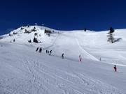 Pistes bij de 6-persoons stoeltjeslift Wastenegg