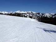 Brede piste Hornfluh