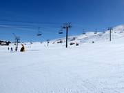 Poverty Flats in het onderste gedeelte