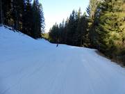 Gemakkelijke piste Fratelle