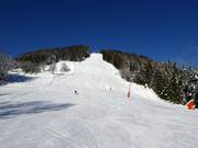 Schüttafdal (dalafdaling Schüttdorf)