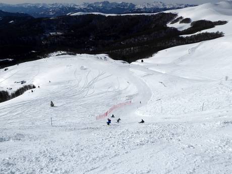 Skigebieden voor gevorderden en off-piste skiërs Montenegro – Gevorderden, off-piste skiërs Kolašin 1450/Kolašin 1600