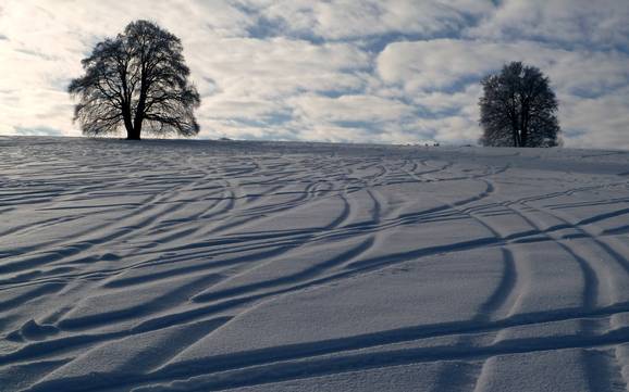 Skigebieden voor gevorderden en off-piste skiërs Tübingen (regeringsdistrict) – Gevorderden, off-piste skiërs Im Salzwinkel – Zainingen (Römerstein)
