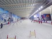 Skihal The Snow Centre