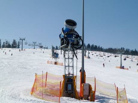 Sneeuwzekerheid Oost-Beskieden – Sneeuwzekerheid Białka Tatrzańska – Kotelnica/Kaniówka/Bania