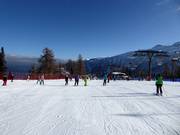 Gemakkelijke piste Bamby in Folgàrida