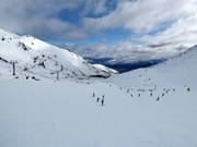 Gemakkelijke piste Alta Green