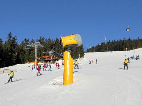 Sneeuwzekerheid regio Königgrätz – Sneeuwzekerheid Černá hora – Janské Lázně