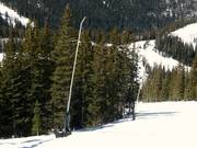 Lanzenbesneeuwing in Telluride