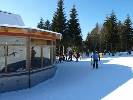 Hutten, Bergrestaurants  Karlsruhe (regeringsdistrict) – Bergrestaurants, hutten Hundseck – Bühlertallifte