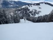 Moeilijke afdaling Beaver Dick's