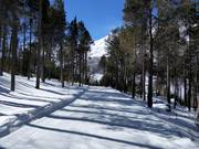 Dalafdaling Heimfahrtspiste