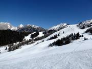 Uitzicht over de pistes in het bovenste gedeelte van het skigebied