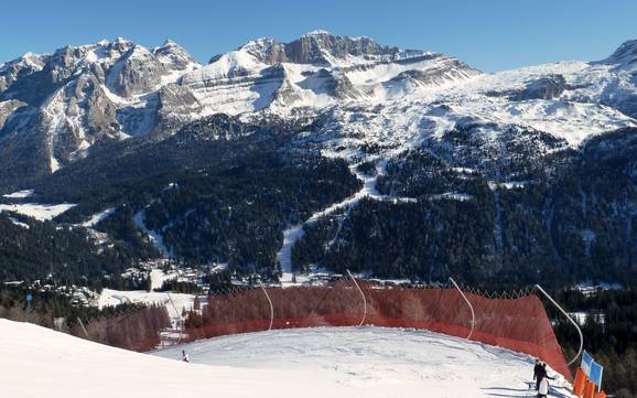Skiën in de Alpen