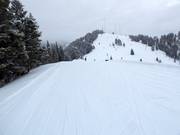 Toegang tot de Sun Bowl