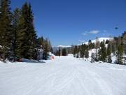 Gemakkelijke piste Märchenwald-afdaling