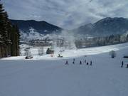 Hier komen beginners goed uit de voeten